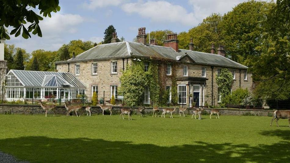 Whitworth Hall Country Park Country / Royal Park in Spennymoor