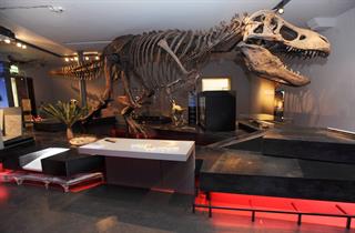 Great North Museum