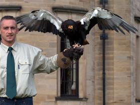 Bird of Prey Conservation Centre