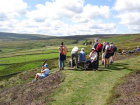 Guided Walk