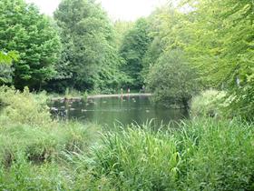Country Park - Countryside Group, DCC