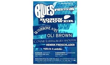 Durham Blues Festival Official Artwork