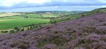 Hedleyhope Fell