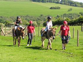 Hall Hill Farm