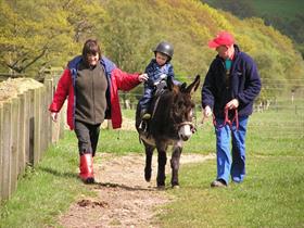 Hall Hill Farm