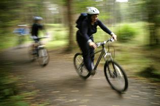 Cycling in Hamsterley Forest