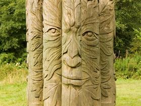 Hamsterley Forest