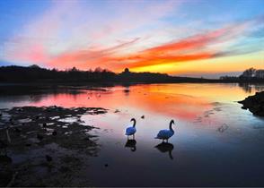 Hardwick Park at sunset