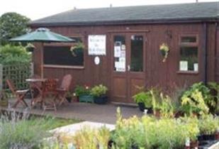 Coffee Shop outside