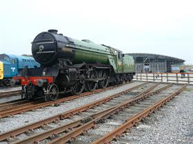 Locomotion