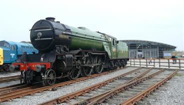 Locomotion