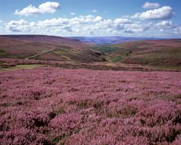 Credit: Natural England/Charlie Hedley