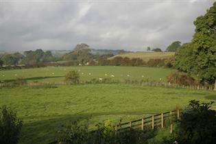 view