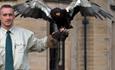 Bird of Prey Conservation Centre