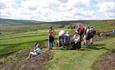 Guided Walk