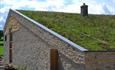 Green grass roof