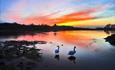 Hardwick Park at sunset