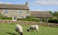 Hauxwell Grange Cottages exterior