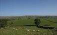 view from meadows Edge