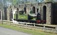 Locomotion