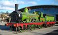 Locomotion