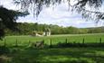 View from cottage