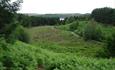 View of mire