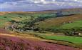 Durham Dales