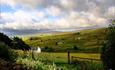 Low Cornriggs Farm