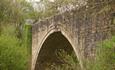 Causey Arch