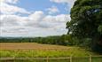 View from Sheep Pen Cottage
