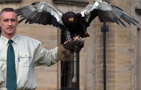 Beamish Wild - Bird of Prey Conservation Centre & Ropes Activity Centre