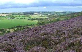 Hedleyhope Fell