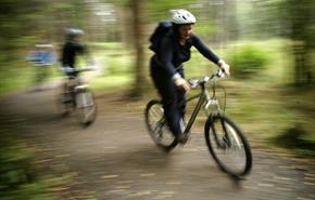 Cycling in Hamsterley Forest