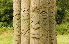 Hamsterley Forest