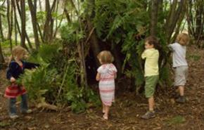 Hamsterley Forest - Den Building