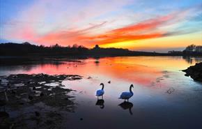 Hardwick Park at sunset