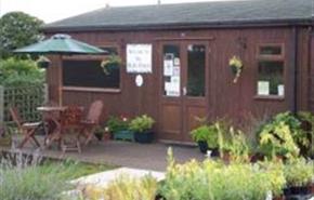 Coffee Shop outside