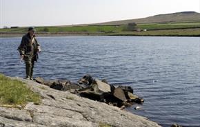Hury Reservoir Trout Fishery