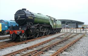 Locomotion