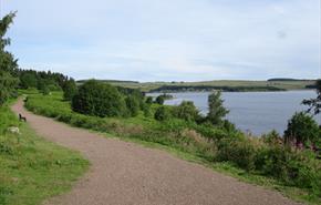Pow Hill Country Park