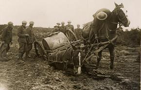 British soldiers attending to a horse-drawn water cart stuck in mud at Saint Eloi, France, on 11 August, 1917.