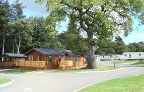 Witton Castle Country Park