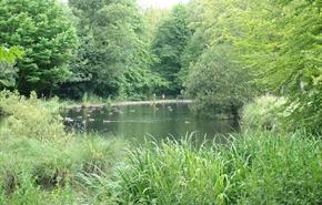 Hardwick Park - Art in the Park