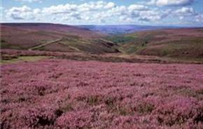 Credit: Natural England/Charlie Hedley