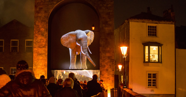 Elephant Lumiere