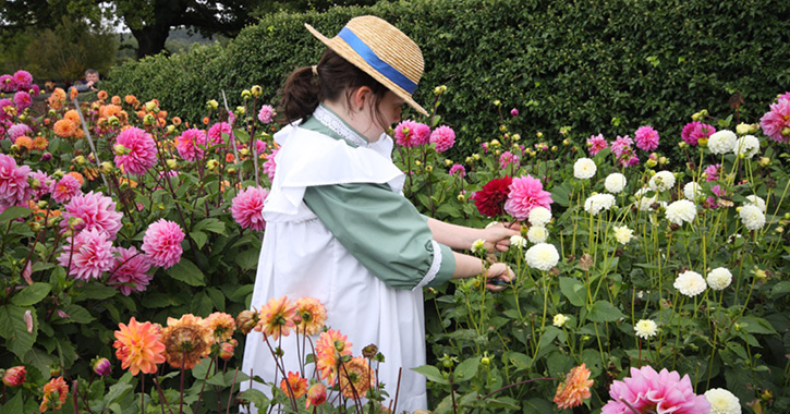 Traditional Experiences at Beamish Museum