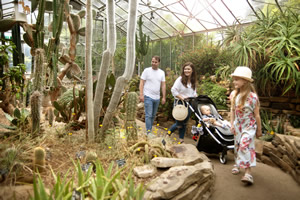 Botanic Gardens