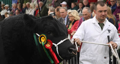 Cumberland Show