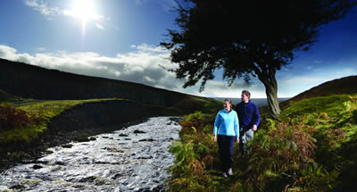 Walking in the Durham Dales